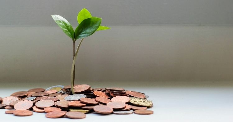 Plant growing from coins